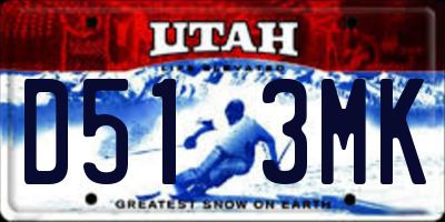 UT license plate D513MK