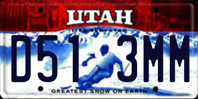 UT license plate D513MM