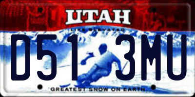 UT license plate D513MU