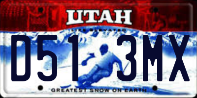 UT license plate D513MX