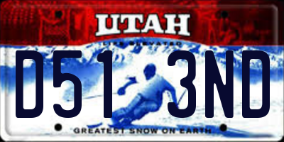 UT license plate D513ND