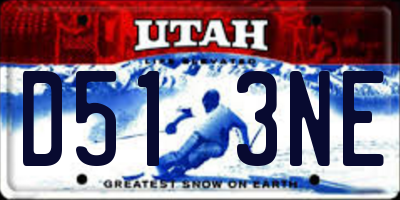 UT license plate D513NE