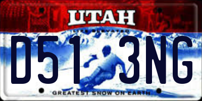 UT license plate D513NG