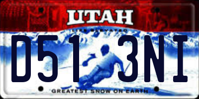 UT license plate D513NI