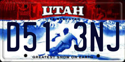 UT license plate D513NJ