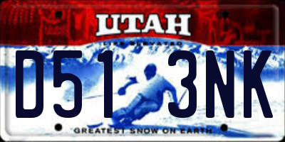 UT license plate D513NK