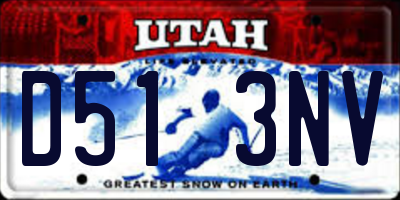 UT license plate D513NV