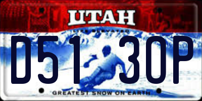 UT license plate D513OP