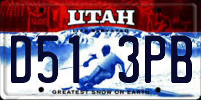 UT license plate D513PB