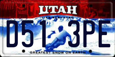 UT license plate D513PE