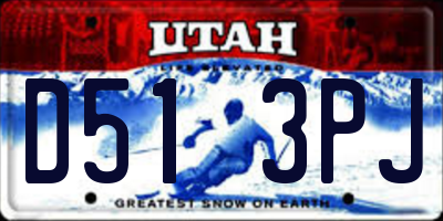 UT license plate D513PJ