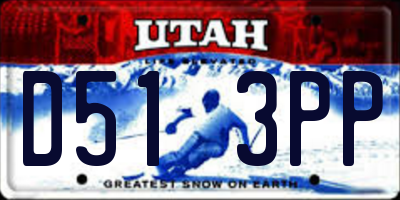 UT license plate D513PP