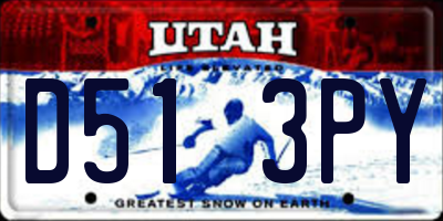 UT license plate D513PY