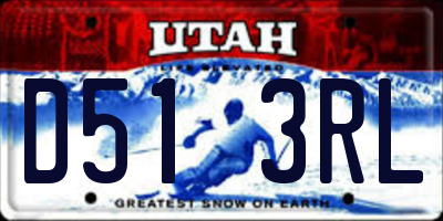 UT license plate D513RL