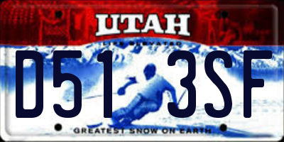 UT license plate D513SF