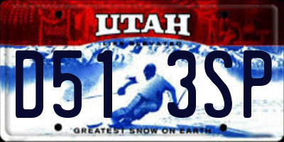 UT license plate D513SP