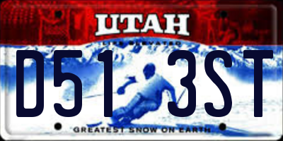 UT license plate D513ST