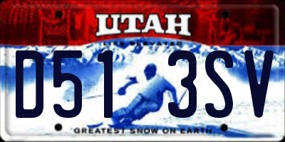 UT license plate D513SV