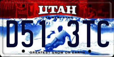 UT license plate D513TC