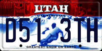 UT license plate D513TH