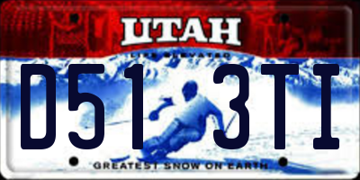 UT license plate D513TI
