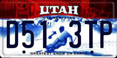 UT license plate D513TP