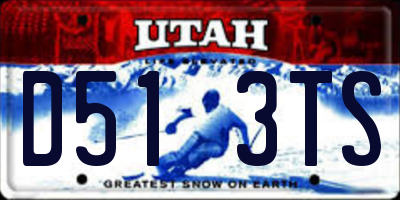 UT license plate D513TS