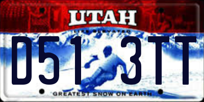 UT license plate D513TT