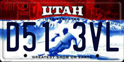 UT license plate D513VL