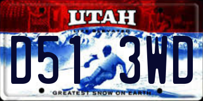 UT license plate D513WD