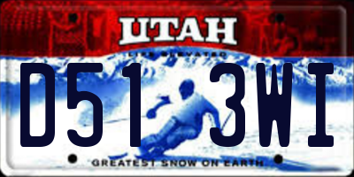 UT license plate D513WI