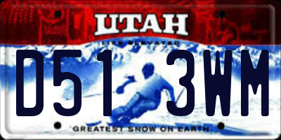 UT license plate D513WM