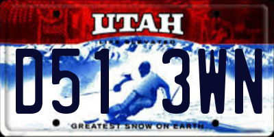 UT license plate D513WN