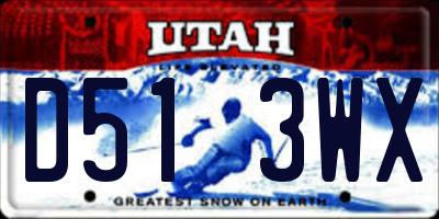 UT license plate D513WX