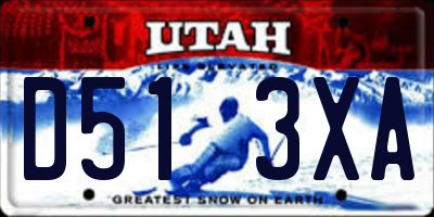 UT license plate D513XA
