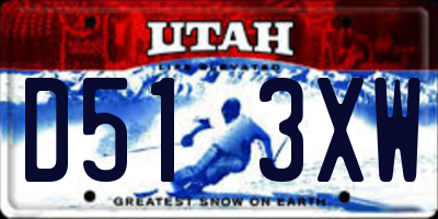 UT license plate D513XW