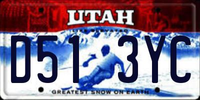 UT license plate D513YC