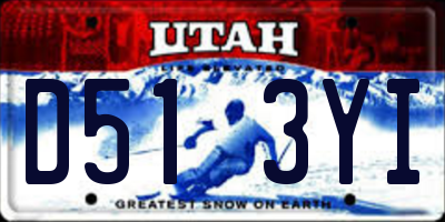 UT license plate D513YI