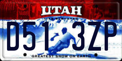 UT license plate D513ZP