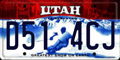 UT license plate D514CJ
