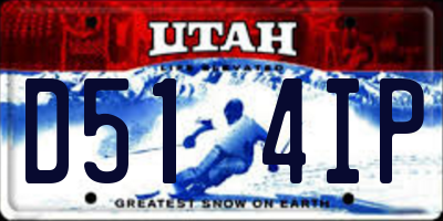UT license plate D514IP