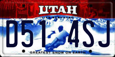 UT license plate D514SJ