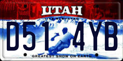 UT license plate D514YB