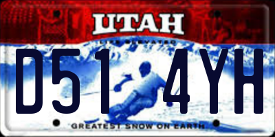 UT license plate D514YH