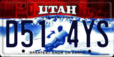 UT license plate D514YS