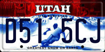 UT license plate D515CJ