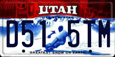 UT license plate D515TM