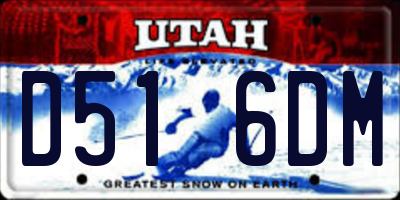 UT license plate D516DM