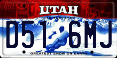 UT license plate D516MJ