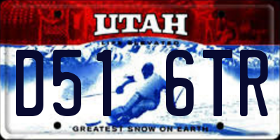 UT license plate D516TR
